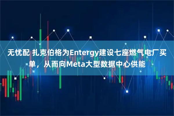 无忧配 扎克伯格为Entergy建设七座燃气电厂买单，从而向Meta大型数据中心供能