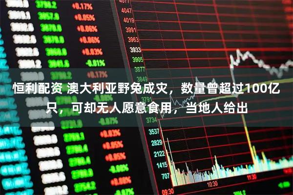 恒利配资 澳大利亚野兔成灾，数量曾超过100亿只，可却无人愿意食用，当地人给出