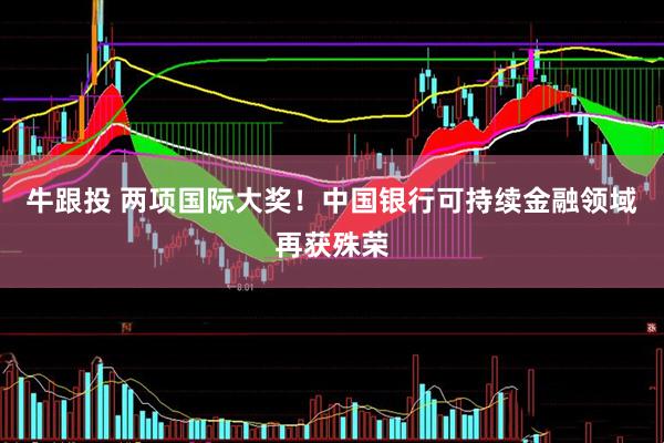 牛跟投 两项国际大奖！中国银行可持续金融领域再获殊荣