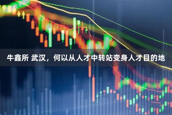 牛鑫所 武汉，何以从人才中转站变身人才目的地